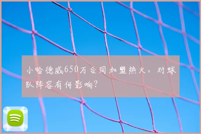 小哈德威650万合同加盟热火，对球队阵容有何影响？